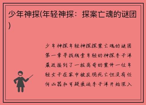 少年神探(年轻神探：探案亡魂的谜团)